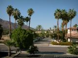 249 Palm Springs1.jpg