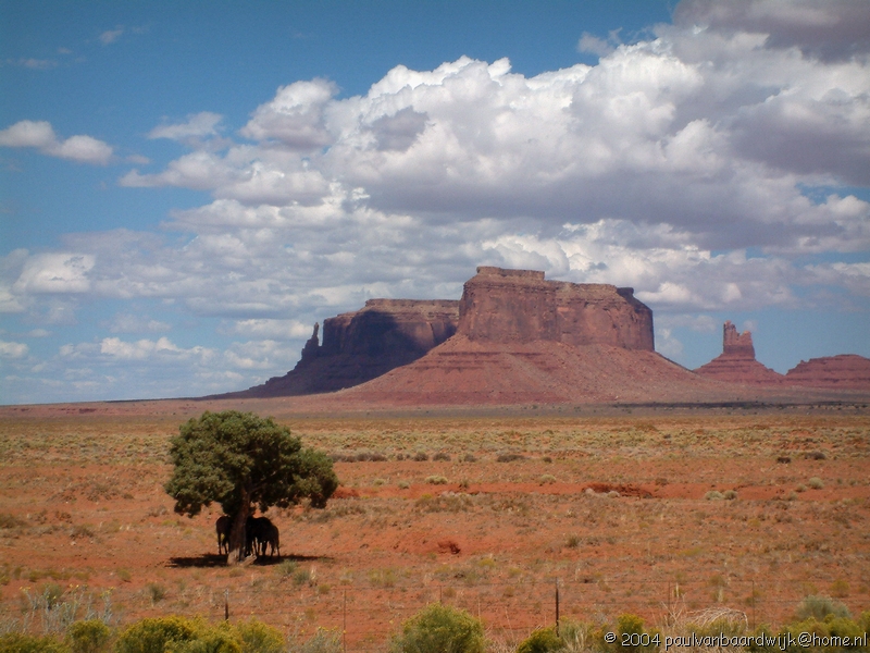 133 Monument Valley4.jpg