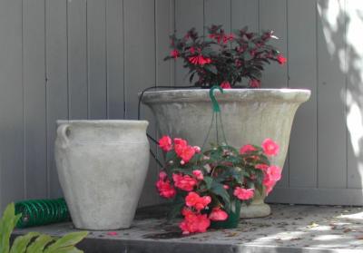 plants_and_pots
