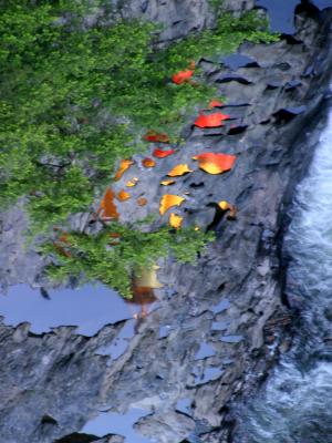 CRW_3642.jpg