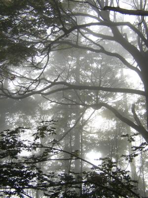 PA040072.jpg