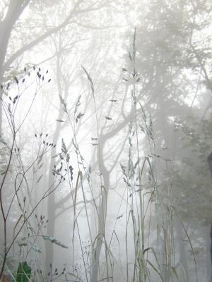 PA040171.jpg