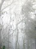 PA040171.jpg