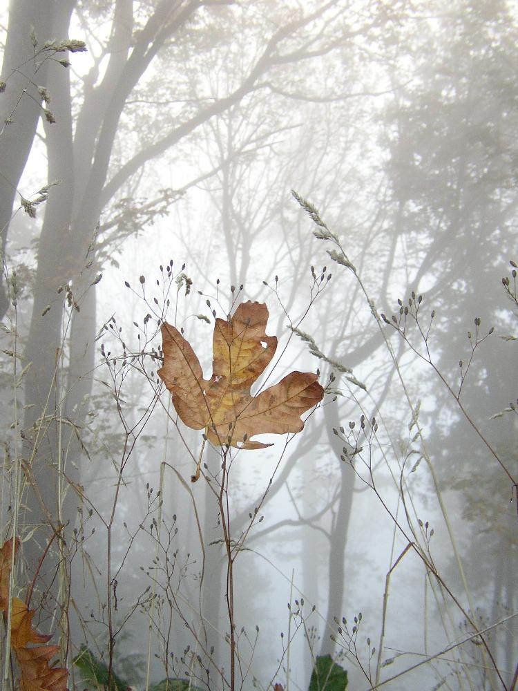 PA040176.jpg