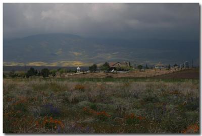 Antelope Valley farm