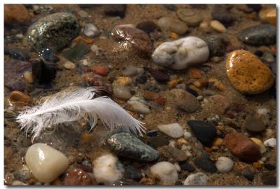 Feather