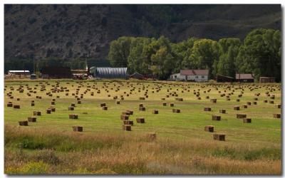 u34/pderocco/medium/21476721.03090863Haybales.jpg