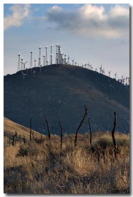 Tehachapi windmills #2