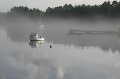 Morning Fog in Harbour