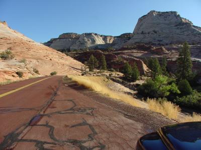 Road through Zion National Park
DSC04185.JPG