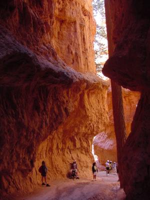 Wall Street  Bryce Canyon