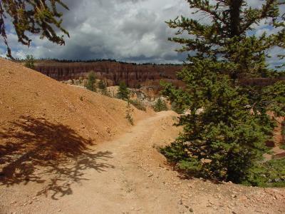 Hiking trail in Bryce Canyon
DSC04214.JPG