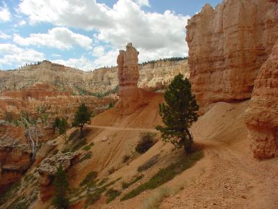 Hiking trail in Bryce Canyon