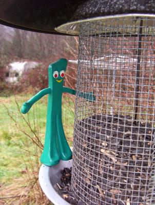 Gumby experiences local fine dining