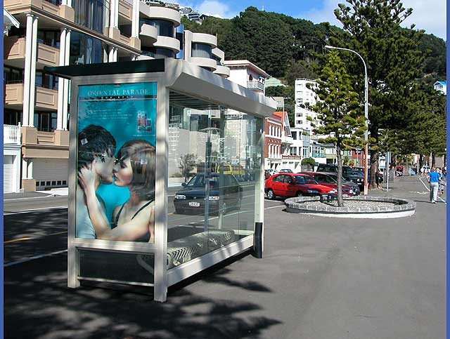 Bus stop at Oriental Bay
