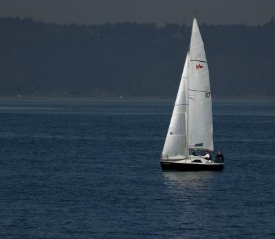 CRW_1470_sailboat_martin242.jpg