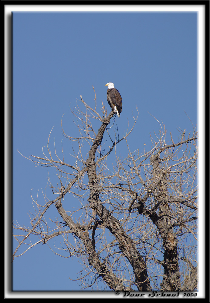 Old Baldy - Dec 16