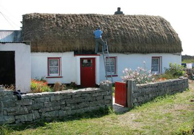 Inishmore resident repairing a thatched roof - Inishmore Island (Aran Islands) (Co. Galway)