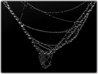 Web Necklace