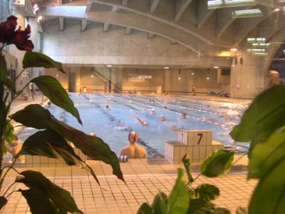 January 2003 - Forum des Halles Swimming pool 75001
