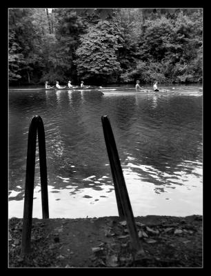 Bords de Marne</br>Aviron