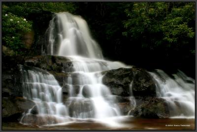 Laurel Falls