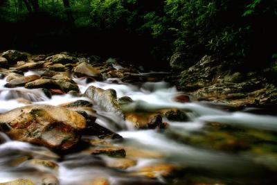 Pigeon River
