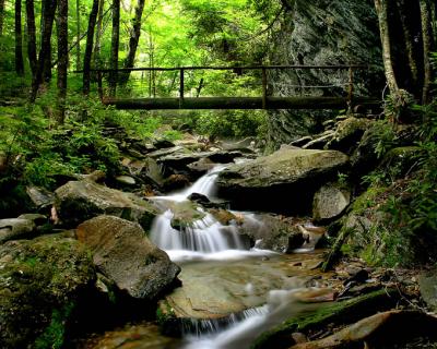 Hiking Bridge