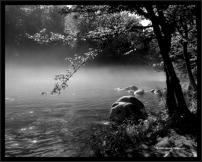 Morning Myst