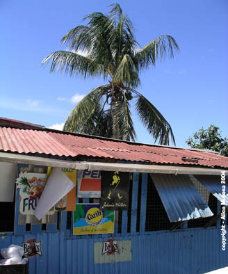 Gooseberry Bar; Hoytes village- Barbados #2.jpg