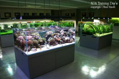ADA Training Day's - Day 1 -