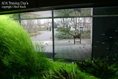 ADA Training Day's - Day 1 -