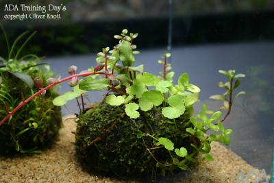 ADA Training Day's - Day 1 -