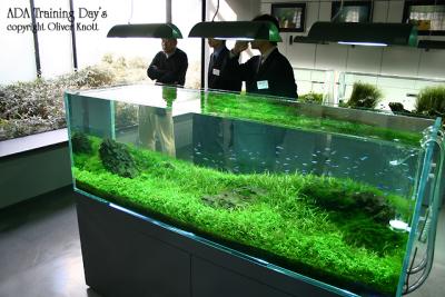 ADA Training Day's - Day 1 -