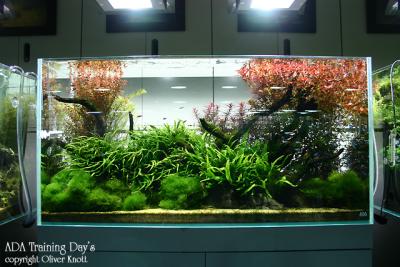ADA Training Day's - Day 1 -