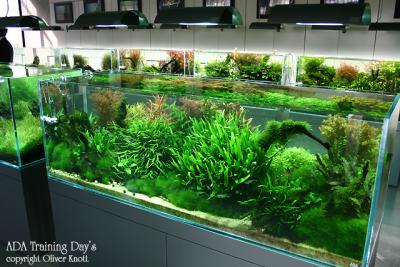 ADA Training Day's - Day 1 -