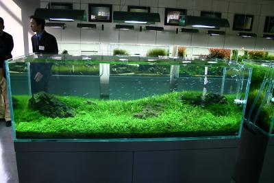 ADA Training Day's - Day 1 -
