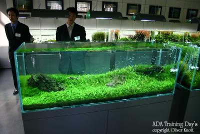 ADA Training Day's - Day 1 -