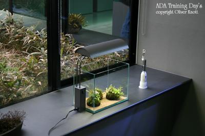 ADA Training Day's - Day 1 -