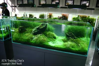 ADA Training Day's - Day 1 -