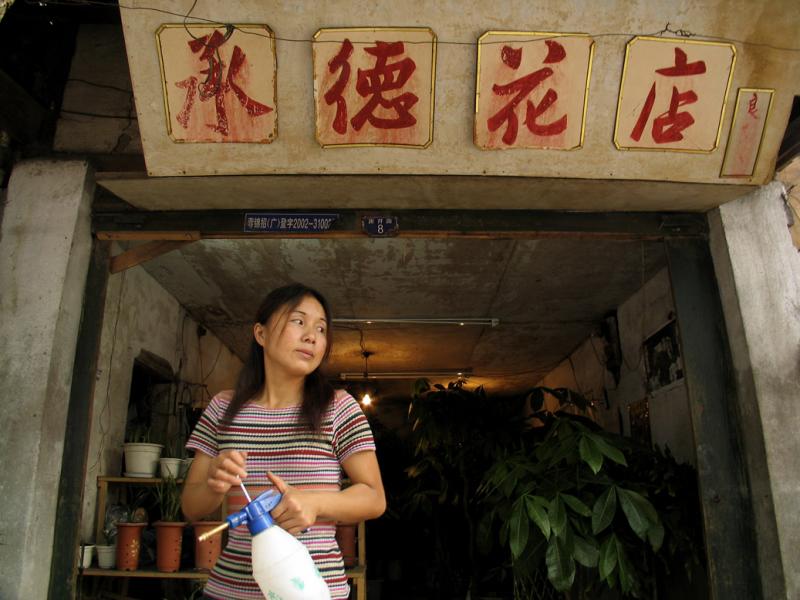 Flower shop worker, Chengdu, China, 2004