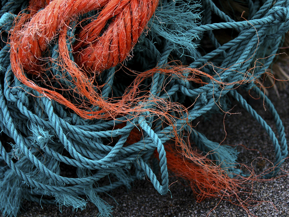 Washed ashore, St. Matthews Island, Alaska, 2002
