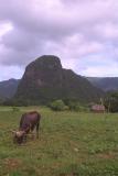 Vinales - Sierra Maestra (3).JPG