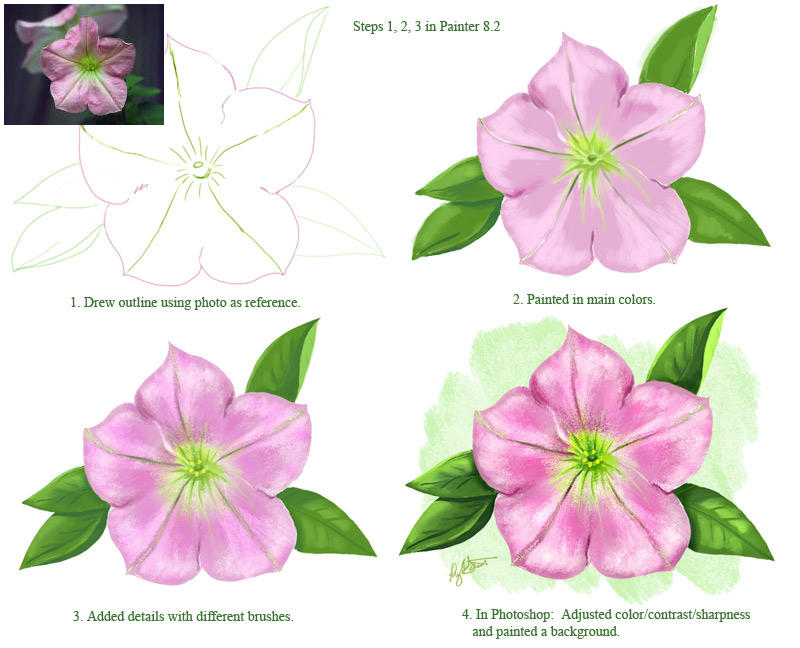 Petunia Steps