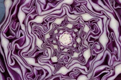 Fractal Cabbage.jpg