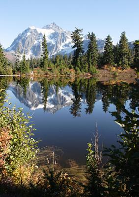 Shuksan reflection.jpg
