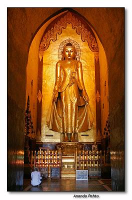 Ananda Pahto - Konagamana Buddha