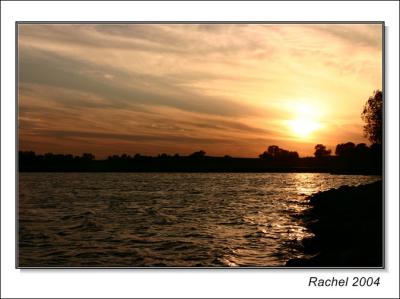 sunset at a park-2