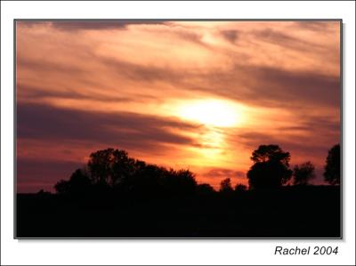 sunset at a park-3