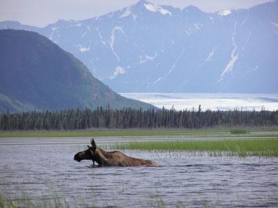 Maud Lake